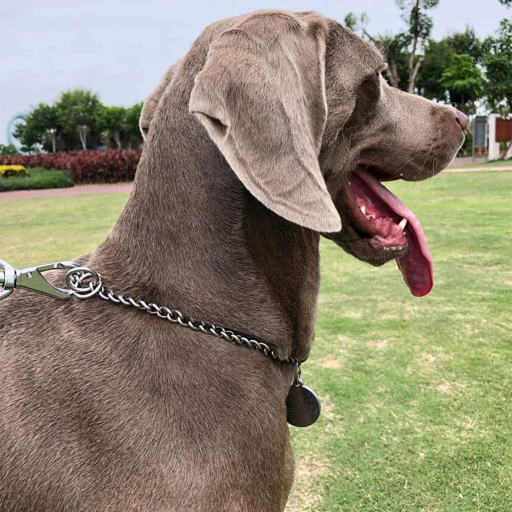 Cadena Para Perro De 1.2m Eslabon 3.5mm Santul