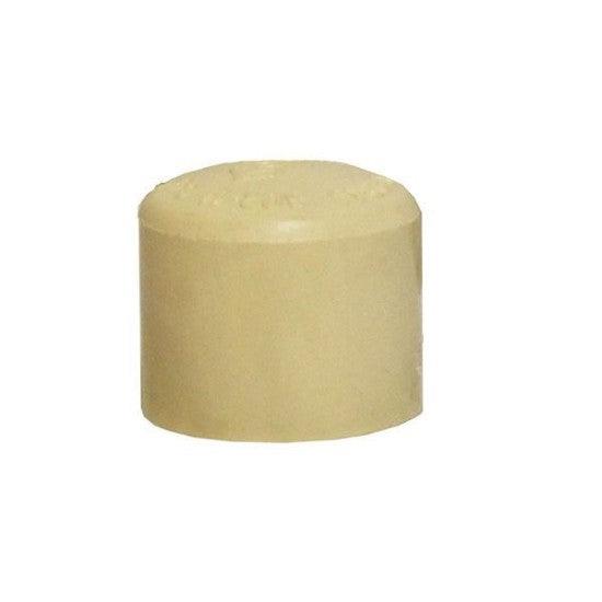 Tapon Cpvc Iusaflow 3/4