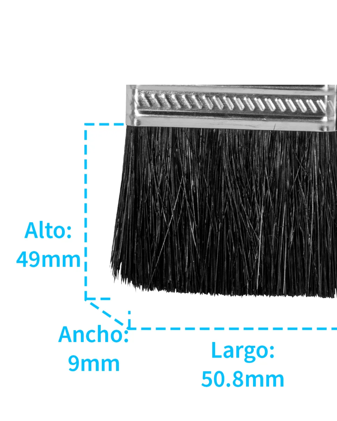 Brochas Primo 2"